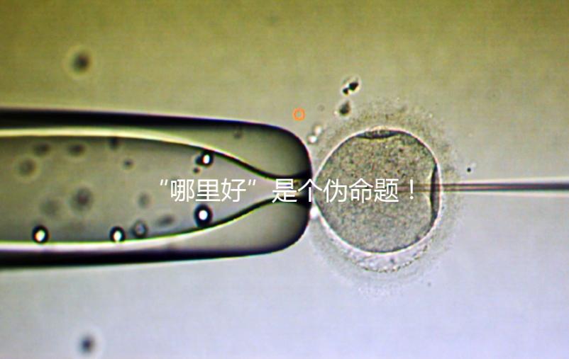 “哪里好”是個(gè)偽命題！上海市第十人民醫(yī)院做試管經(jīng)驗(yàn)分享