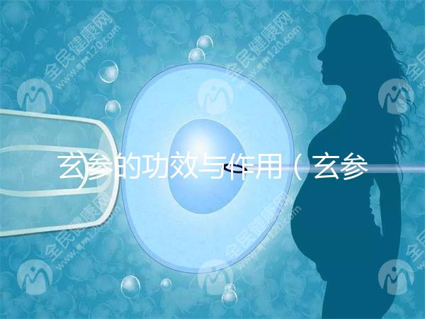 玄參的功效與作用（玄參傷腎還是補(bǔ)腎）