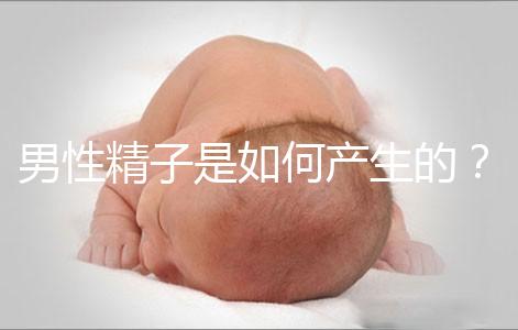 男性精子是如何產生的？