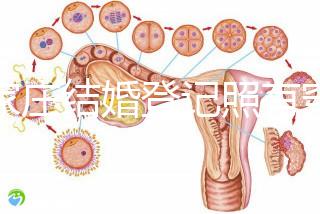 石家莊結(jié)婚登記照有穿著要求如果你想建造一個(gè)適合不快速比較的尺寸
