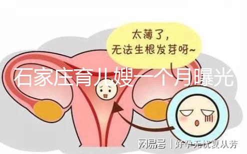 石家莊育兒嫂一個(gè)月曝光多少錢？馬寶:公司級別越高越貴