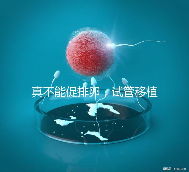 真不能促排卵，試管移植前吃優(yōu)思明作用與功效竟是這