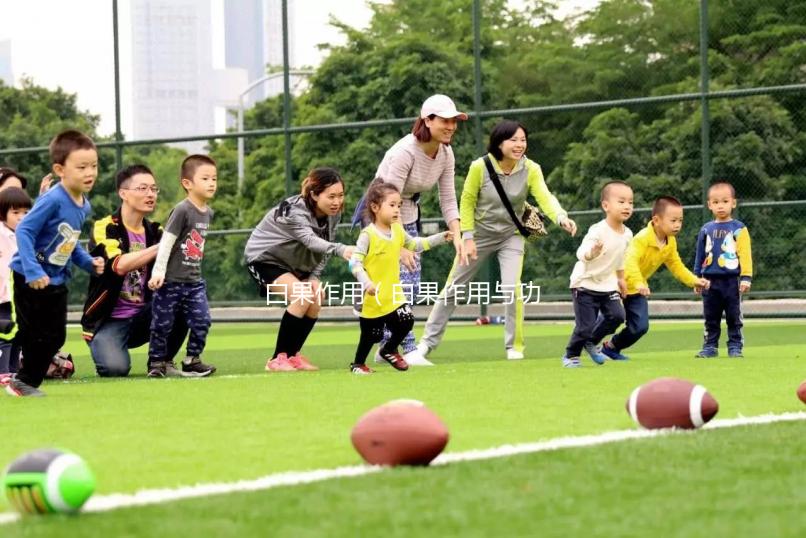 白果作用（白果作用與功效）