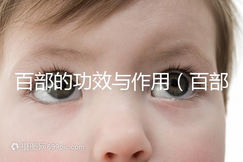 百部的功效與作用（百部酊能根治陰虱嗎）