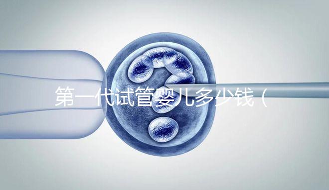 第一代試管嬰兒多少錢（第3代試管嬰兒大概多少錢）