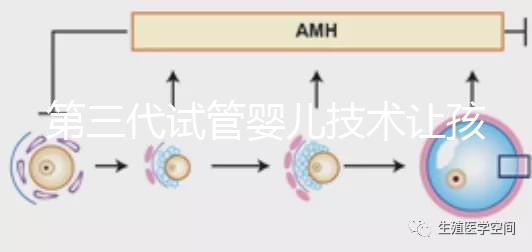 第三代試管嬰兒技術讓孩子不患遺傳性腫瘤