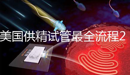 美國(guó)供精試管最全流程2024，時(shí)間長(zhǎng)短關(guān)鍵看身體情況