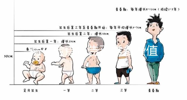 精子檢查報(bào)告正常參考值圖例分析，關(guān)注這3項(xiàng)指標(biāo)就夠了