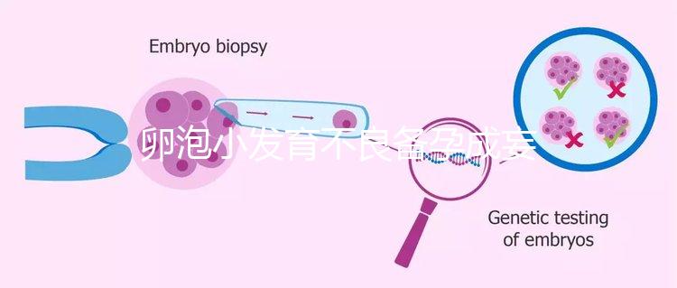 卵泡小發育不良備孕成妄想，閉鎖卵泡早檢查早治療