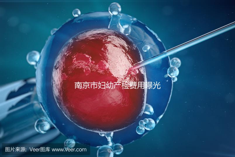 南京市婦幼產檢費用曝光，附2024詳細掛號時間和流程