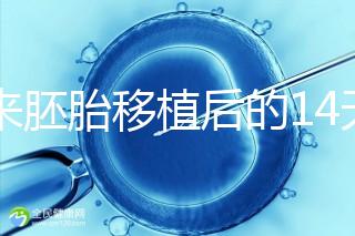 原來胚胎移植后的14天，這些信號預示著床成功