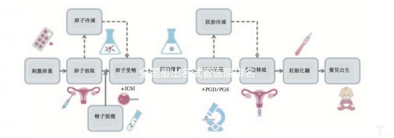 全國最出名試管醫院排名是怎樣的？附目前全國較好的試管醫院介紹！