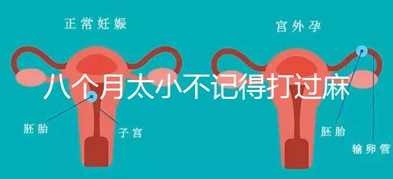 八個月太小不記得打過麻風疫苗看這，2大反應教你辨別