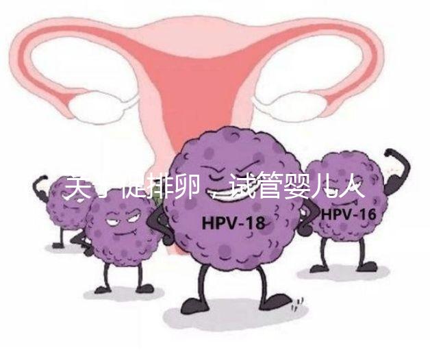 關(guān)于促排卵，試管嬰兒人群應(yīng)該知道的 6 個真相