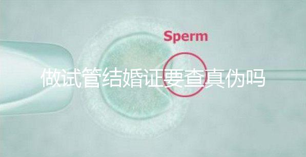 做試管結婚證要查真偽嗎（做試管結婚證要查真偽嗎多少錢）