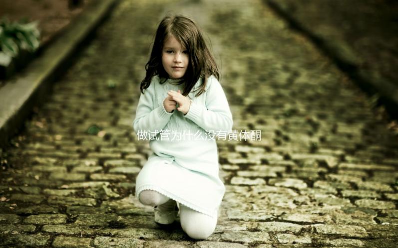 做試管為什么沒有黃體酮?2025年生殖科醫(yī)生權(quán)威解讀:從個體差異、醫(yī)療方案到科學(xué)應(yīng)對的全流程指南