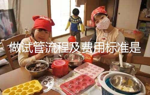 做試管流程及費(fèi)用標(biāo)準(zhǔn)是多少