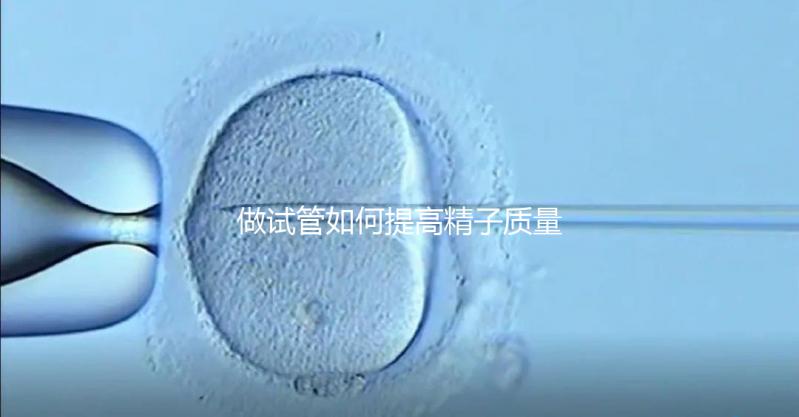 做試管如何提高精子質量?五星推薦4個簡單小運動