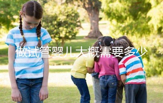 做試管嬰兒大概需要多少錢(現(xiàn)在做試管嬰兒大概需要多少錢)