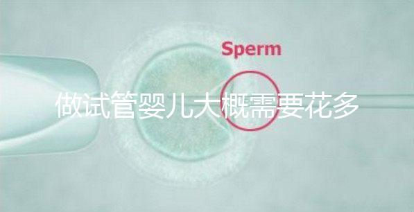 做試管嬰兒大概需要花多少錢，做試管嬰兒需要花多少錢