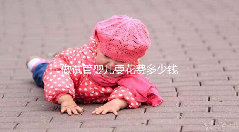 做試管嬰兒要花費(fèi)多少錢