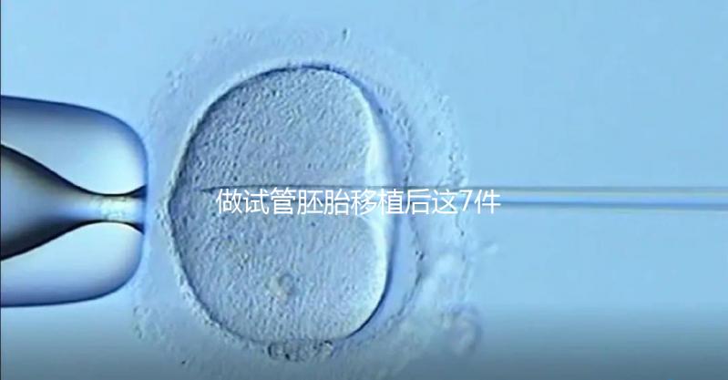 做試管胚胎移植后這7件事做錯，小心胚胎流掉！