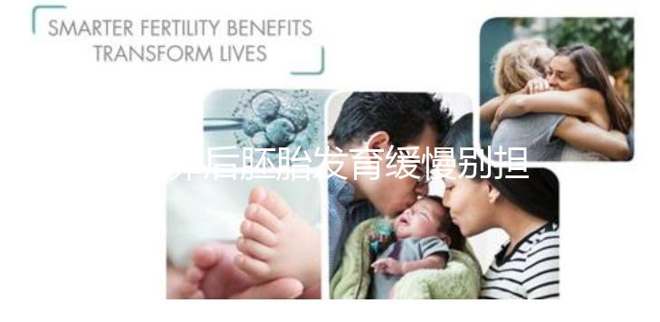 取卵后胚胎發育緩慢別擔心！這么做試管成功率翻倍