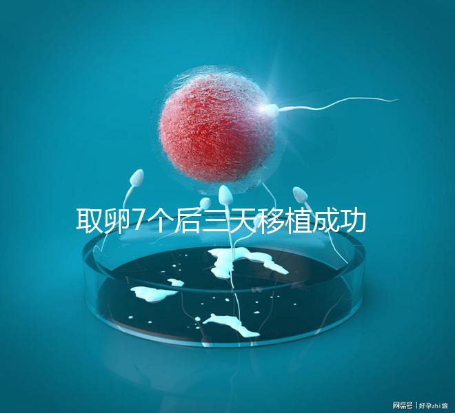 取卵7個(gè)后三天移植成功率真不低，關(guān)鍵要滿足這5大條件