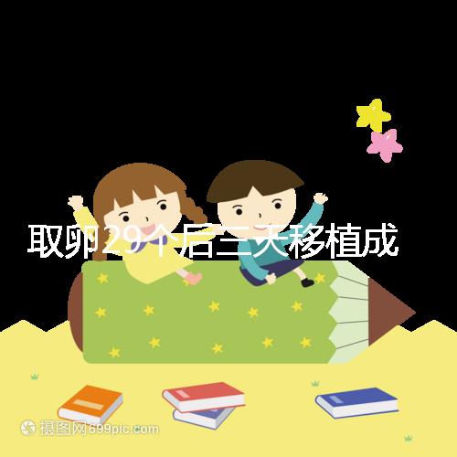 取卵29個后三天移植成功率真不高，養(yǎng)囊、冷凍才是正確選擇