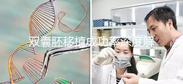 雙囊胚移植成功率深度解析:試管嬰兒成功的關鍵所在