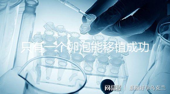 只有一個卵泡能移植成功嗎？別擔(dān)心!過來人告訴你好孕并不難