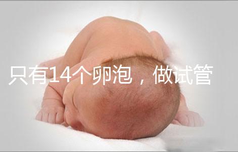 只有14個(gè)卵泡,做試管嬰兒到底要不要養(yǎng)囊?