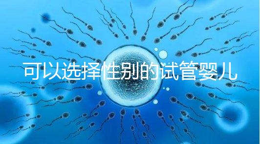 可以選擇性別的試管嬰兒多少錢(qián)（試管嬰兒女方遭罪嗎）