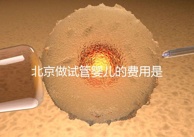北京做試管嬰兒的費用是多少錢？詳細流程是怎樣的？
