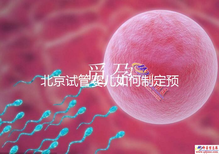 北京試管嬰兒如何制定預算，費用解析必看