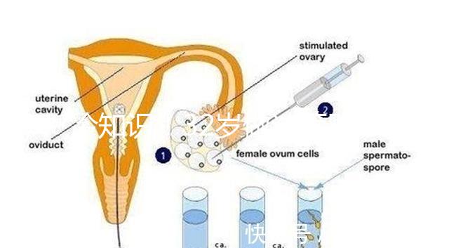 冷知識！32歲做試管嬰兒提升成功率的方法請收藏