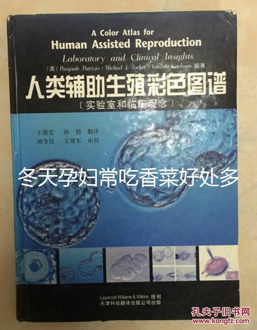 冬天孕婦常吃香菜好處多，搓成丸子味道更佳