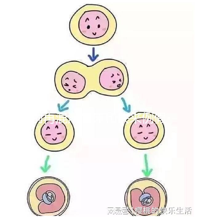 別再混淆著床和快來(lái)例假了，除了出血量還有這些區(qū)別