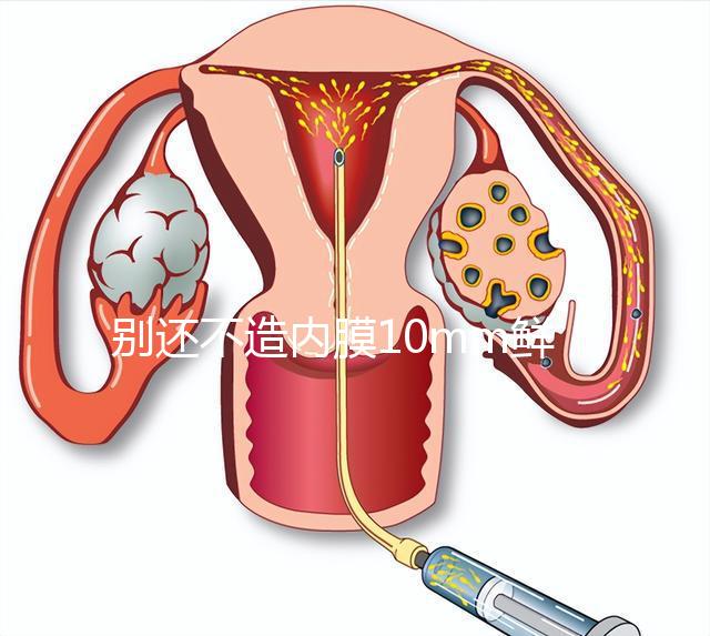 別還不造內(nèi)膜10mm鮮胚容不容易著床，能否移植看這幾點(diǎn)