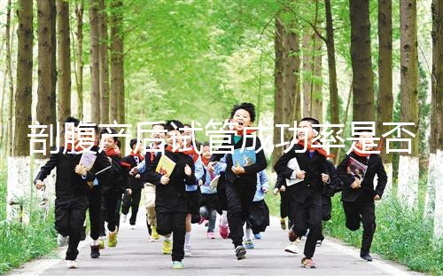 剖腹產后試管成功率是否很低？適當的調理影響真的很小