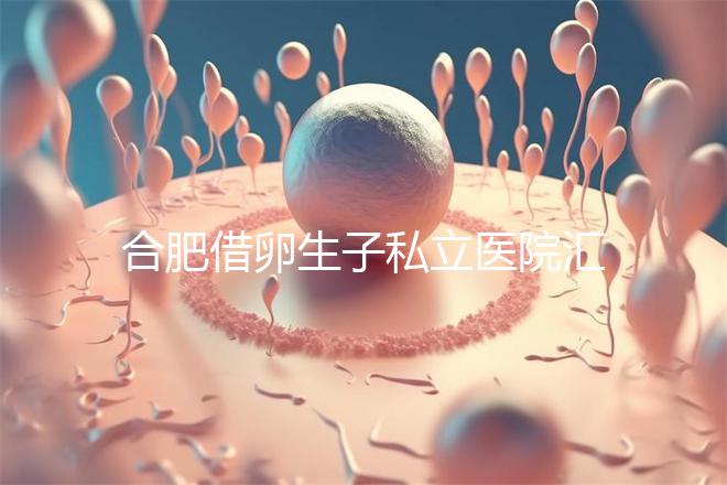 合肥借卵生子私立醫院匯總，2024哪家排名好一覽了然