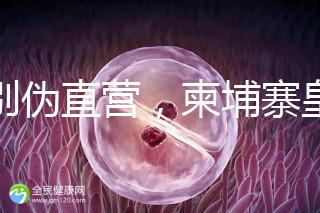 告別偽直營(yíng)，柬埔寨皇家生殖遺傳醫(yī)院RFG中國(guó)辦事處指南