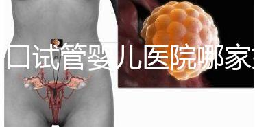 周口試管嬰兒醫院哪家好，2024年助孕成功率及費用公布