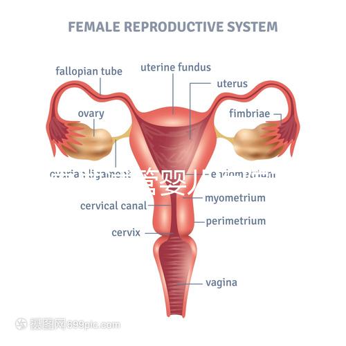 國內做試管嬰兒醫院有哪些？附全國十大試管醫院排名
