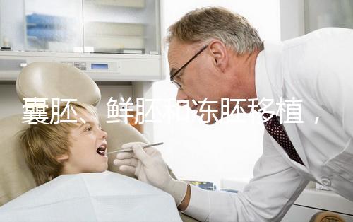 囊胚、鮮胚和凍胚移植，哪一種移植成功率更高？