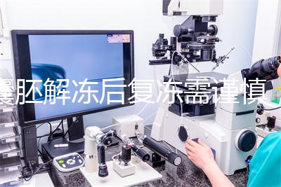 囊胚解凍后復(fù)凍需謹(jǐn)慎，這些對胚胎質(zhì)量的影響不可不知