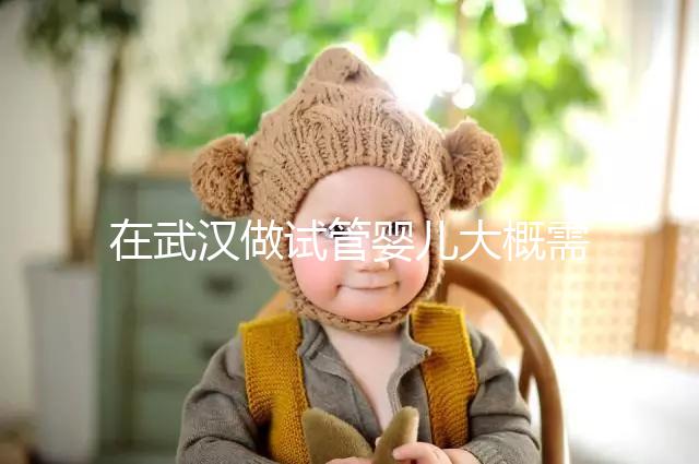 在武漢做試管嬰兒大概需要多少錢？武漢同濟醫院做試管可以選性別嗎？