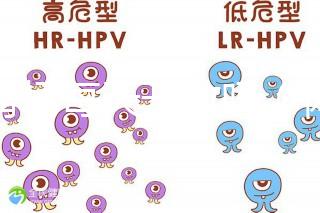 體育場(chǎng)每天開(kāi)放嗎(體育場(chǎng)每天開(kāi)放嗎現(xiàn)在)