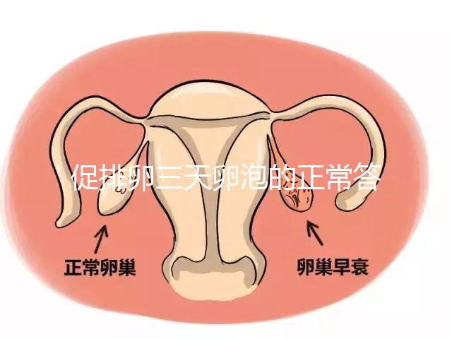 促排卵三天卵泡的正常答案是什么？取出8毫米卵原細胞的時間