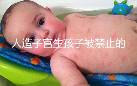 人造子宮生孩子被禁止的原因有三，會(huì)不會(huì)被允許未成定論